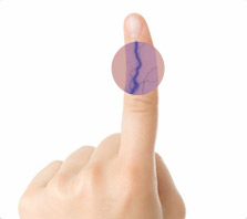 biométrie des veines du doigt